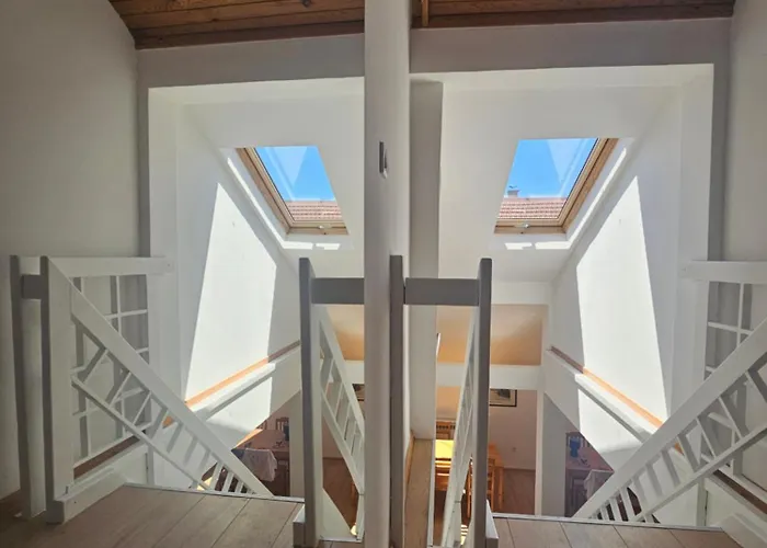 Hostel Leopold Chillout *