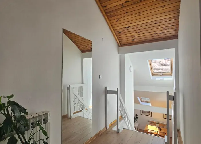 Hostel Leopold Chillout